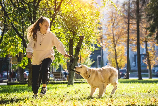 Ägaren spelar golden retriever hund i parken. — Stockfoto