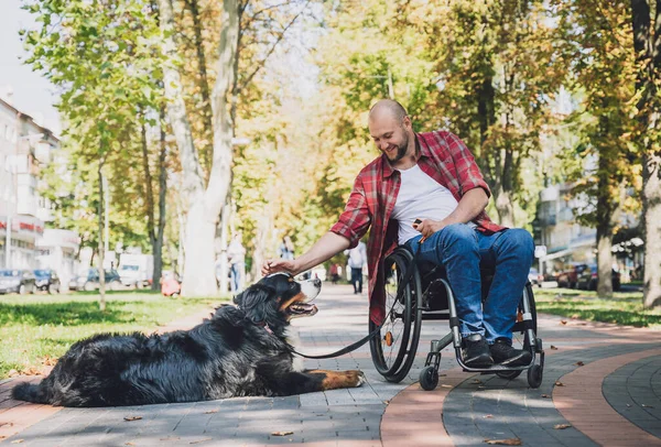 Feliz joven con discapacidad física en silla de ruedas con su perro. —  Fotos de Stock