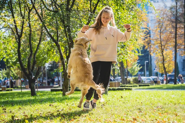 Ägaren spelar golden retriever hund i parken. — Stockfoto