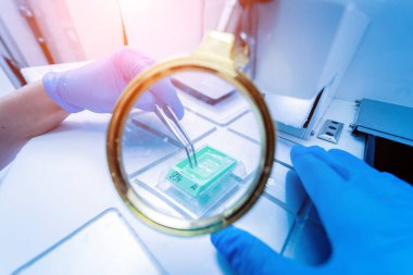 Laboratuvar asistanı parafin ağda doku yerleştirme makinesinde çalışıyor..