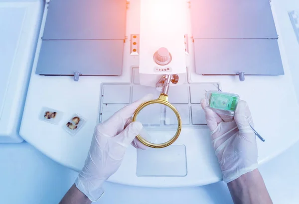 Laboratóriumi asszisztens a paraffinviasz adagoló szövet beágyazó gépnél dolgozik. — Stock Fotó