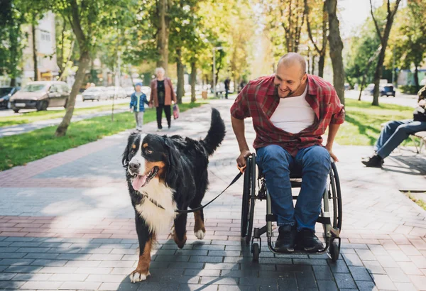 Köpeğiyle tekerlekli sandalye kullanan fiziksel engelli genç adam.. — Stok fotoğraf