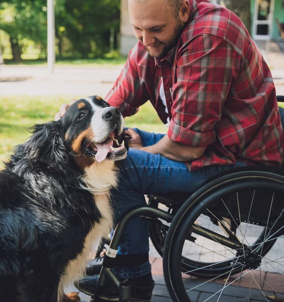 Köpeğiyle tekerlekli sandalye kullanan fiziksel engelli genç adam.. — Stok fotoğraf