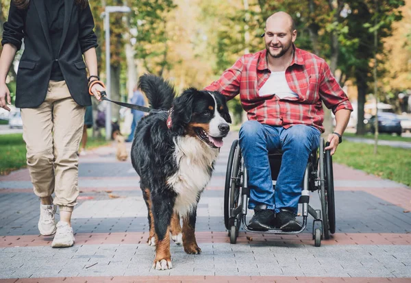 Jovem feliz com uma deficiência física que usa cadeira de rodas com seu cão. — Fotografia de Stock