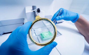 Laboratuvar asistanı parafin ağda doku yerleştirme makinesinde çalışıyor..