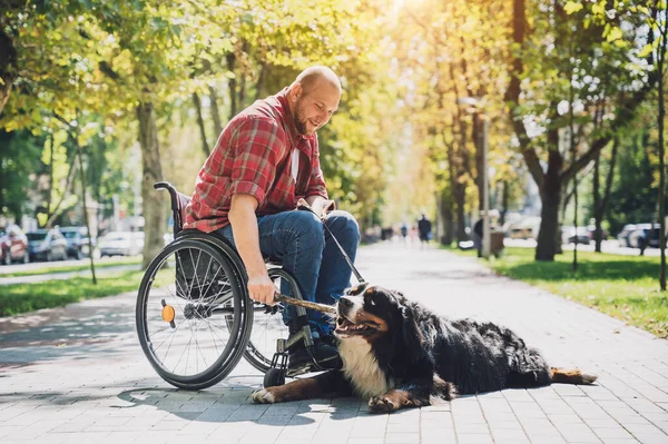 Glad ung man med en fysisk funktionsnedsättning som använder rullstol med sin hund. — Stockfoto