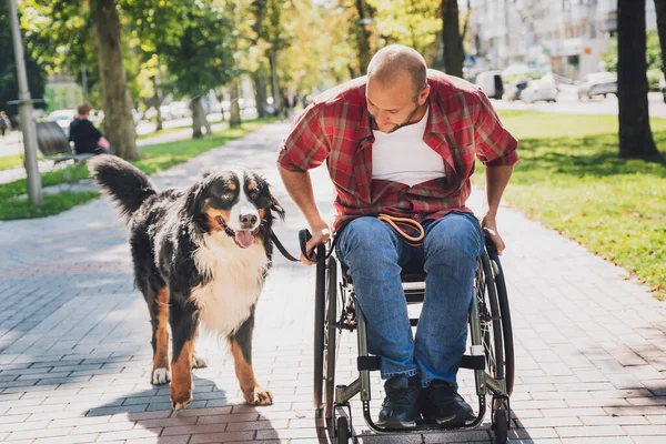 Gelukkige jongeman met een lichamelijke beperking die rolstoel gebruikt met zijn hond. — Stockfoto