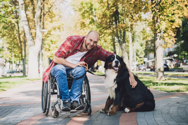 Köpeğiyle tekerlekli sandalye kullanan fiziksel engelli genç adam.. — Stok fotoğraf