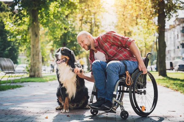 Köpeğiyle tekerlekli sandalye kullanan fiziksel engelli genç adam.. — Stok fotoğraf