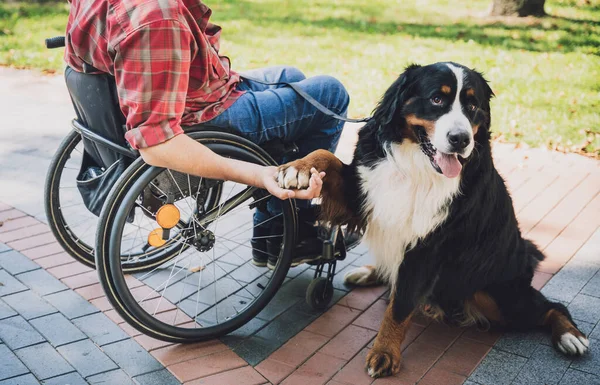 Köpeğiyle tekerlekli sandalye kullanan fiziksel engelli genç adam.. — Stok fotoğraf