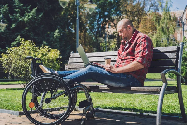 Freelancer con discapacidad física que utiliza silla de ruedas trabajando en el parque — Foto de Stock