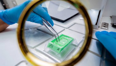 Laboratuvar asistanı parafin ağda doku yerleştirme makinesinde çalışıyor..