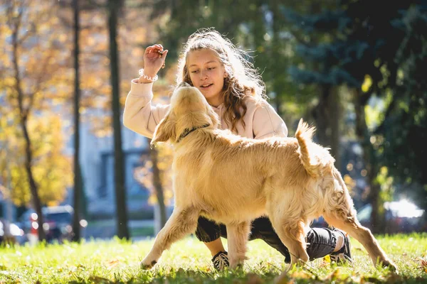 Właściciel gra psa golden retrievera w parku.. — Zdjęcie stockowe