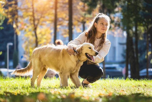 主人在公园里扮演那条金毛猎犬. — 图库照片