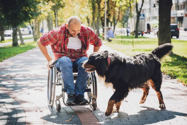 Köpeğiyle tekerlekli sandalye kullanan fiziksel engelli genç adam.. — Stok fotoğraf