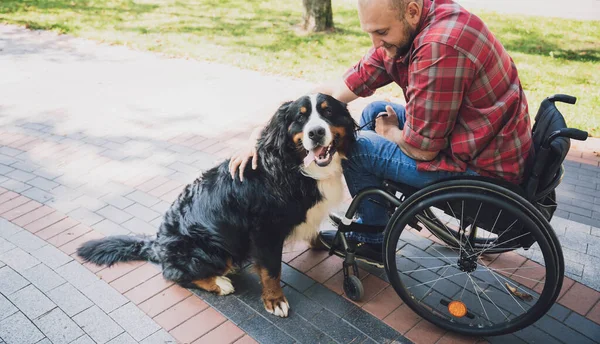 Köpeğiyle tekerlekli sandalye kullanan fiziksel engelli genç adam.. — Stok fotoğraf