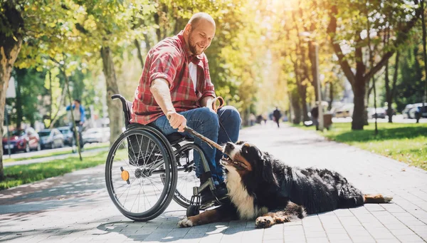 Happy young man with a physical disability who uses wheelchair with his dog. — Stock Photo, Image