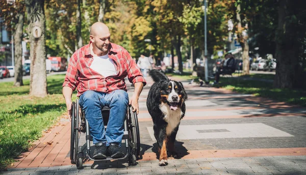 Glücklicher junger Mann mit körperlicher Behinderung, der mit seinem Hund im Rollstuhl sitzt. — Stockfoto