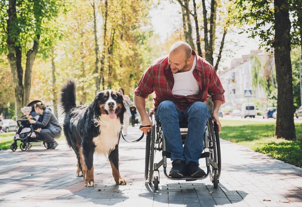 Köpeğiyle tekerlekli sandalye kullanan fiziksel engelli genç adam.. — Stok fotoğraf