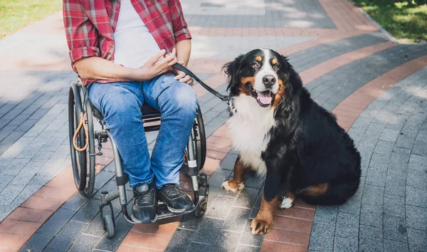 Köpeğiyle tekerlekli sandalye kullanan fiziksel engelli genç adam.. — Stok fotoğraf