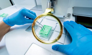 Laboratuvar asistanı parafin ağda doku yerleştirme makinesinde çalışıyor..