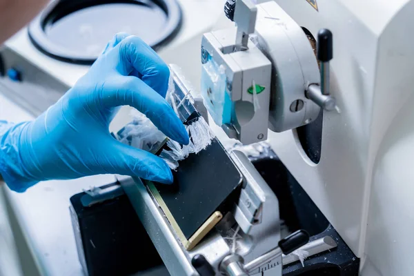 Asistente de laboratorio trabaja en una sección de microtoma rotatorio y haciendo diapositivas de microscopio —  Fotos de Stock