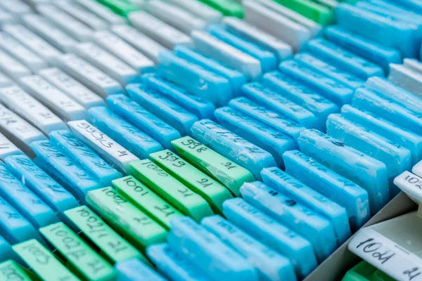 Modern laboratuvarda çok renkli hasta dokusu blokları — Stok fotoğraf