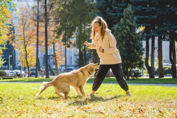 Ägaren spelar golden retriever hund i parken. — Stockfoto