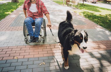Köpeğiyle tekerlekli sandalye kullanan fiziksel engelli genç adam..