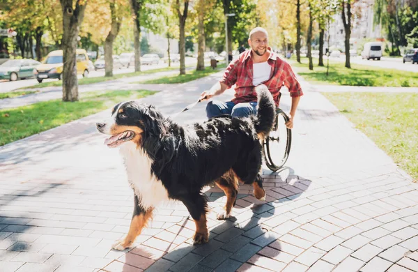 Glad ung man med en fysisk funktionsnedsättning som använder rullstol med sin hund. — Stockfoto