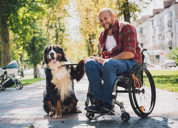 Köpeğiyle tekerlekli sandalye kullanan fiziksel engelli genç adam.. — Stok fotoğraf