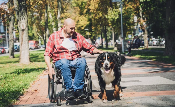 Köpeğiyle tekerlekli sandalye kullanan fiziksel engelli genç adam.. — Stok fotoğraf