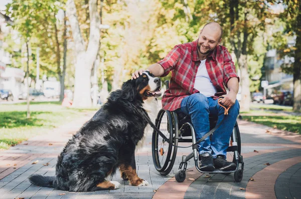 Köpeğiyle tekerlekli sandalye kullanan fiziksel engelli genç adam.. — Stok fotoğraf