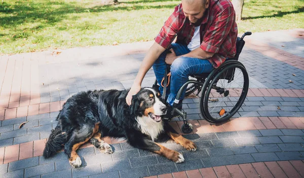 Köpeğiyle tekerlekli sandalye kullanan fiziksel engelli genç adam.. — Stok fotoğraf