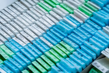 Modern laboratuvarda çok renkli hasta dokusu blokları