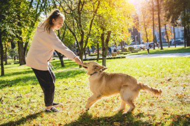 Sahibi parkta golden retriever köpeği oynuyor..