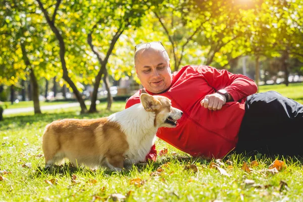 Właściciel gra walijskiego psa corgi w parku.. — Zdjęcie stockowe