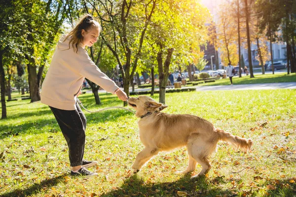 O dono joga o cão golden retriever no parque. — Fotografia de Stock