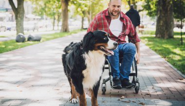 Köpeğiyle tekerlekli sandalye kullanan fiziksel engelli genç adam..