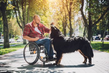 Köpeğiyle tekerlekli sandalye kullanan fiziksel engelli genç adam..