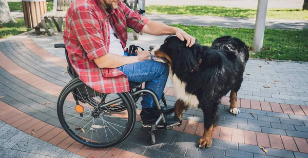Happy young man with a physical disability who uses wheelchair with his dog. — Stock Photo, Image