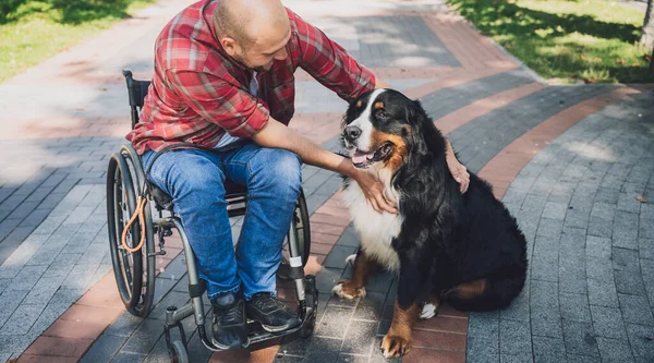 Köpeğiyle tekerlekli sandalye kullanan fiziksel engelli genç adam.. — Stok fotoğraf