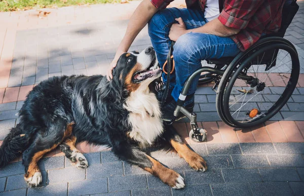 Köpeğiyle tekerlekli sandalye kullanan fiziksel engelli genç adam.. — Stok fotoğraf