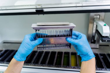 Laboratuvar asistanı modern laboratuvarda otomatik çoklu slayt boyayıcısıyla çalışıyor..