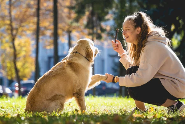 Ägaren spelar golden retriever hund i parken. — Stockfoto