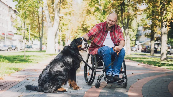 Köpeğiyle tekerlekli sandalye kullanan fiziksel engelli genç adam.. — Stok fotoğraf