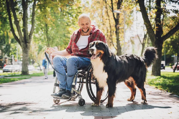 Счастливый молодой человек с ограниченными физическими возможностями, который использует инвалидное кресло со своей собакой. — стоковое фото