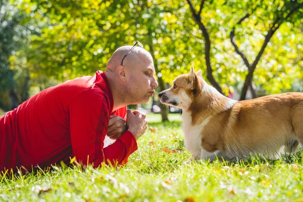 El dueño interpreta al perro corgi galés en el parque. — Foto de Stock