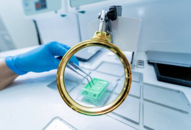 Laboratuvar asistanı parafin ağda doku yerleştirme makinesinde çalışıyor..