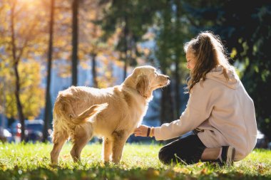 Sahibi parkta golden retriever köpeği oynuyor..